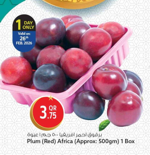 Plum available at سفاري هايبر ماركت in قطر - الشمال