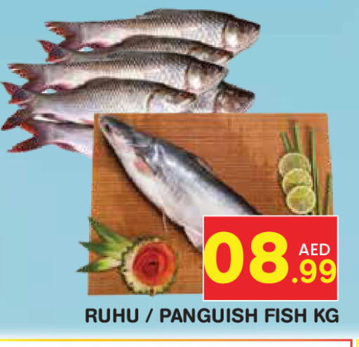 available at فريش سبايك سوبرماركت in الإمارات العربية المتحدة , الامارات - دبي