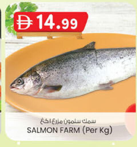 available at صفا اكسبريس سوبرماركت in الإمارات العربية المتحدة , الامارات - أبو ظبي