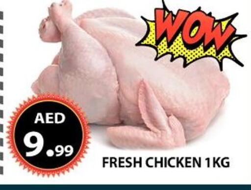 available at AL WAHDA DISCOUNTS CENTRE in UAE - Sharjah / Ajman