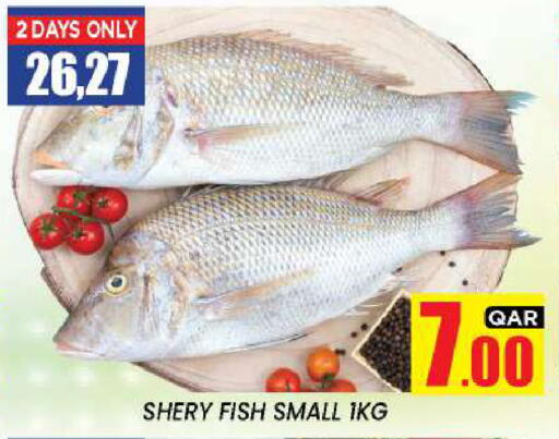 available at نيو ستوب اند شوب @فريج بن عمران in قطر - الوكرة