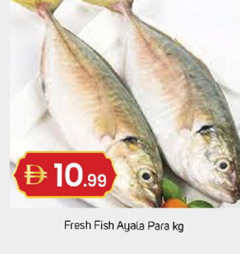 available at سوق طلال in الإمارات العربية المتحدة , الامارات - الشارقة / عجمان