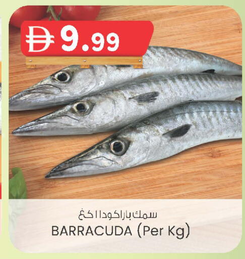 available at Safa Express Supermarket in UAE - Al Ain