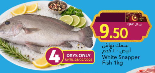 available at جلف فود سنتر in قطر - الشمال