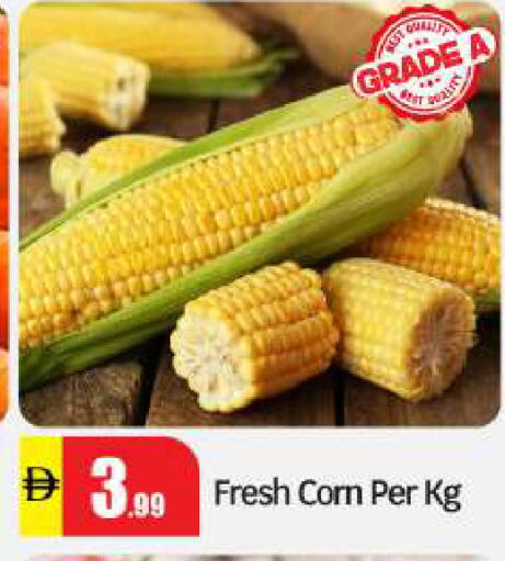 available at بيج مارت in الإمارات العربية المتحدة , الامارات - أبو ظبي