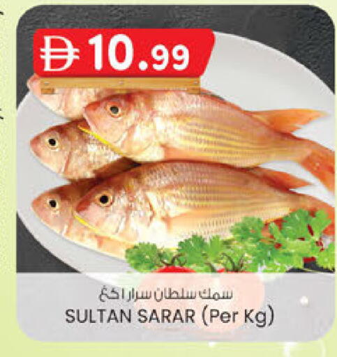 available at صفا اكسبريس سوبرماركت in الإمارات العربية المتحدة , الامارات - أبو ظبي