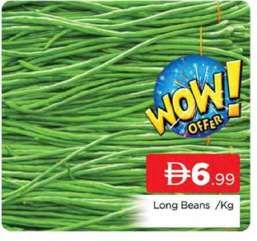 available at المدينة in الإمارات العربية المتحدة , الامارات - دبي