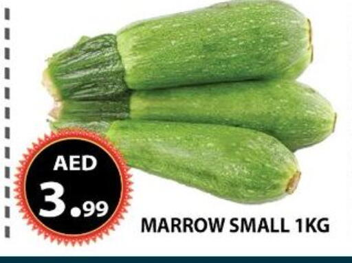 Marrow available at مركز الوحدة للتخفيضات in الإمارات العربية المتحدة , الامارات - الشارقة / عجمان