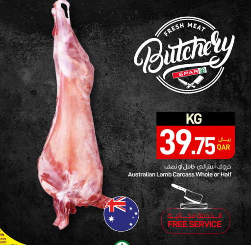 available at ســبــار in قطر - الضعاين