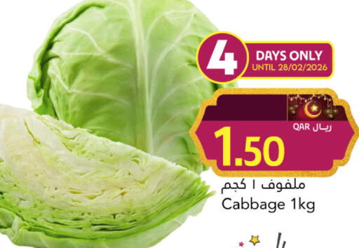 Cabbage available at Gulf Food Center in Qatar - Al Daayen