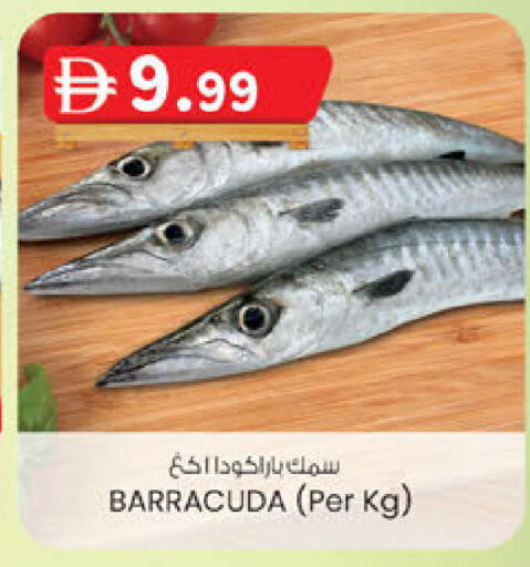 available at صفا اكسبريس سوبرماركت in الإمارات العربية المتحدة , الامارات - أبو ظبي