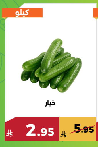 available at حدائق الفرات in مملكة العربية السعودية, السعودية, سعودية - مكة المكرمة