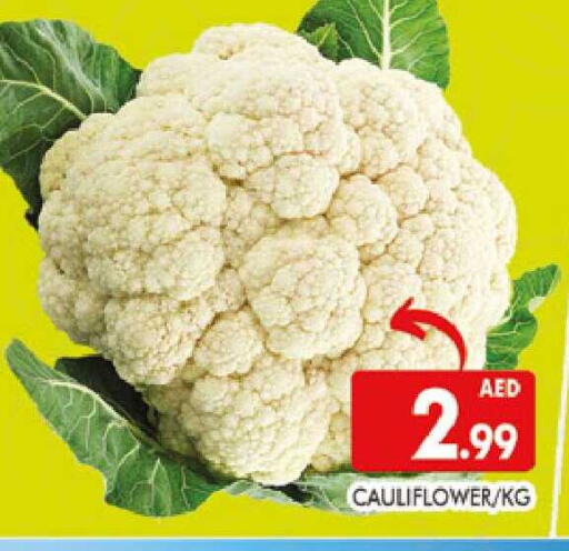 Cauliflower available at المدينة in الإمارات العربية المتحدة , الامارات - دبي