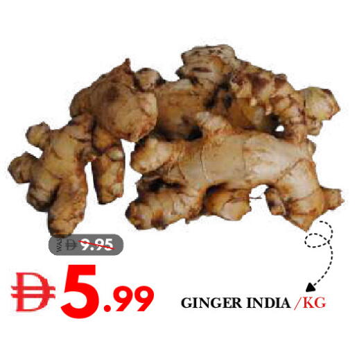 Ginger from India available at ديزرت فريش ماركت in الإمارات العربية المتحدة , الامارات - أبو ظبي