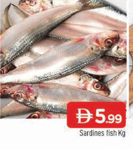 available at المدينة in الإمارات العربية المتحدة , الامارات - الشارقة / عجمان