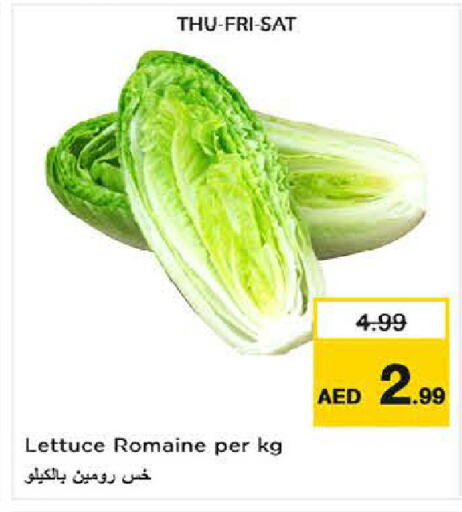 Lettuce available at Last Chance  in UAE - Fujairah