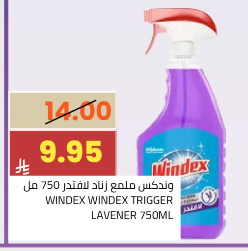 available at Astra Markets in KSA, Saudi Arabia, Saudi - Tabuk