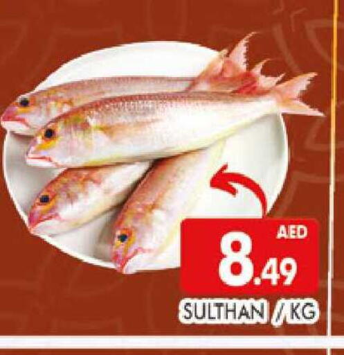 available at المدينة in الإمارات العربية المتحدة , الامارات - دبي