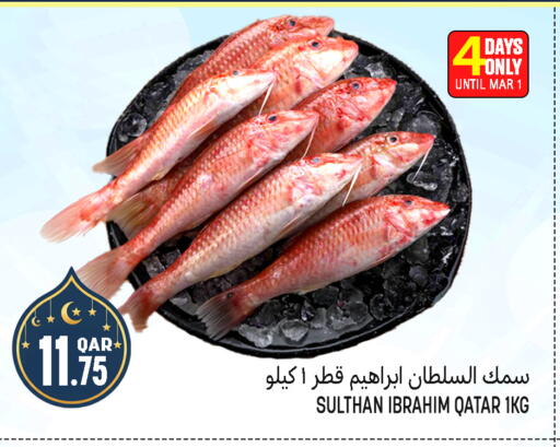 available at قصر الأغذية هايبرماركت in قطر - أم صلال