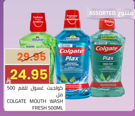 Mint available at Astra Markets in KSA, Saudi Arabia, Saudi - Tabuk