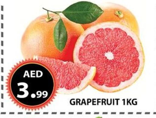 available at مركز الوحدة للتخفيضات in الإمارات العربية المتحدة , الامارات - الشارقة / عجمان