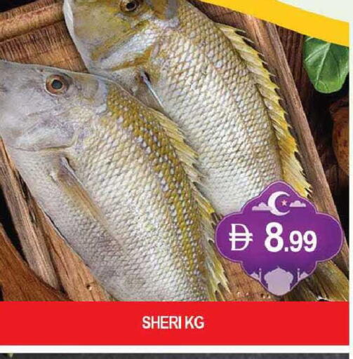 available at المدينة in الإمارات العربية المتحدة , الامارات - دبي