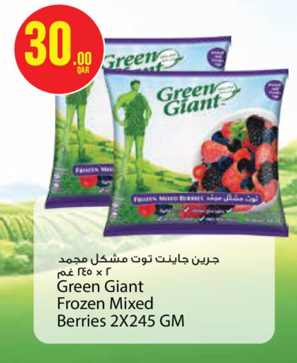 available at مونوبريكس in قطر - الشحانية