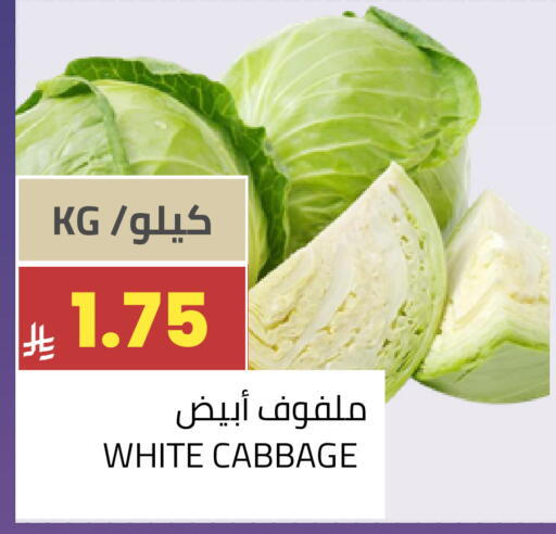 Cabbage available at Astra Markets in KSA, Saudi Arabia, Saudi - Tabuk