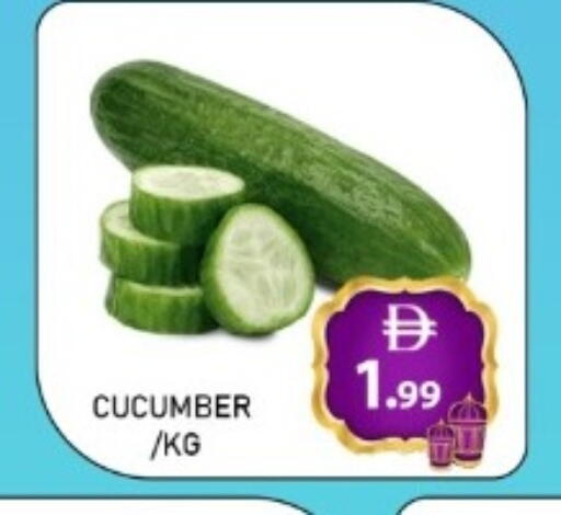 Cucumber available at GREEN GIFT DEPARTMENT STORE in UAE - Abu Dhabi