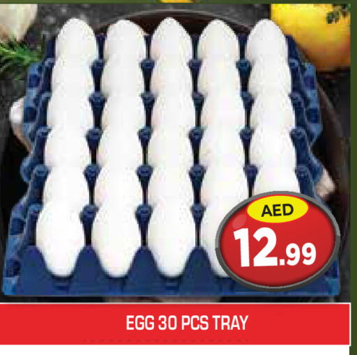 available at سنابل بني ياس in الإمارات العربية المتحدة , الامارات - أم القيوين‎