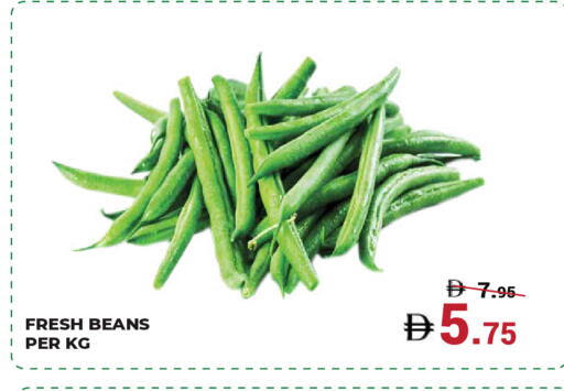 available at كيرالا هايبرماركت in الإمارات العربية المتحدة , الامارات - رَأْس ٱلْخَيْمَة