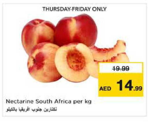 Nectarine from South Africa available at Nesto Hypermarket in UAE - Dubai