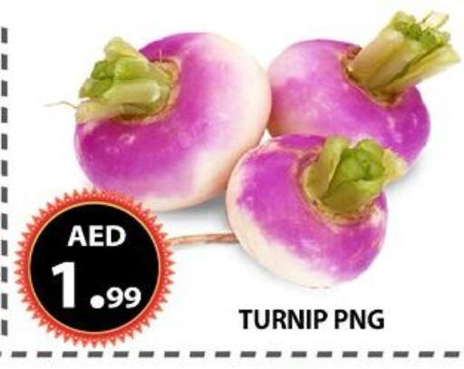 Turnip available at AL WAHDA DISCOUNTS CENTRE in UAE - Sharjah / Ajman