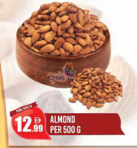 available at دريم لاند in الإمارات العربية المتحدة , الامارات - دبي