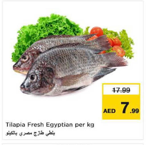 available at نستو هايبرماركت in الإمارات العربية المتحدة , الامارات - الشارقة / عجمان