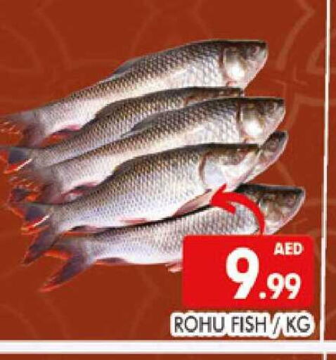 available at المدينة in الإمارات العربية المتحدة , الامارات - دبي