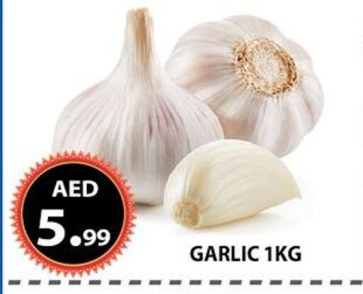 Garlic available at AL WAHDA DISCOUNTS CENTRE in UAE - Sharjah / Ajman