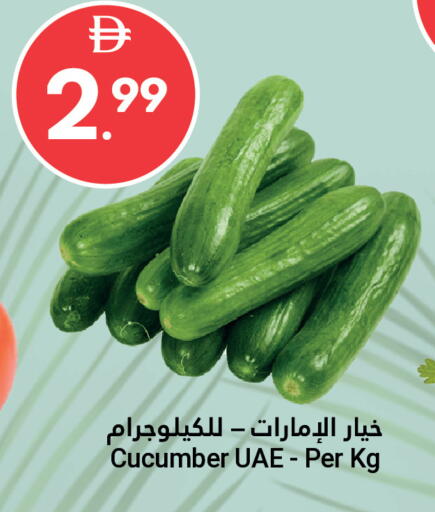 Cucumber available at Grand Emirates Market in UAE - Abu Dhabi