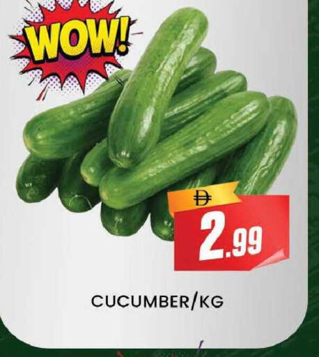 Cucumber available at المدينة in الإمارات العربية المتحدة , الامارات - دبي