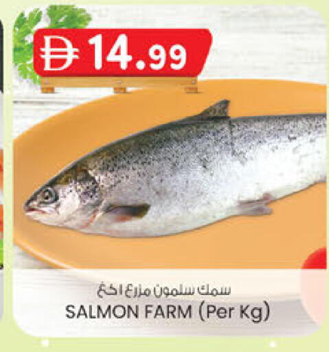 available at ك. إم. هايبرماركت in الإمارات العربية المتحدة , الامارات - أبو ظبي