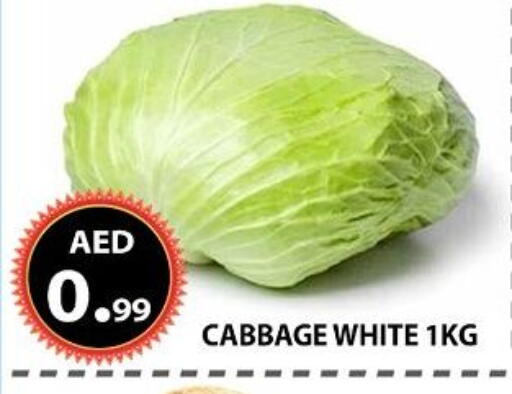 Cabbage available at مركز الوحدة للتخفيضات in الإمارات العربية المتحدة , الامارات - الشارقة / عجمان