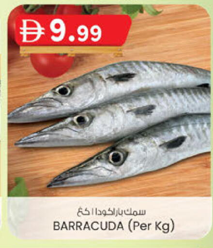 available at ك. إم. هايبرماركت in الإمارات العربية المتحدة , الامارات - أبو ظبي