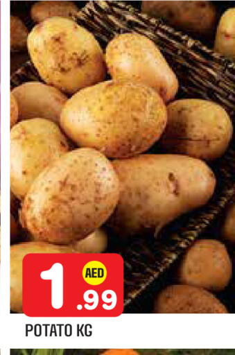 Potato available at سنابل بني ياس in الإمارات العربية المتحدة , الامارات - أبو ظبي