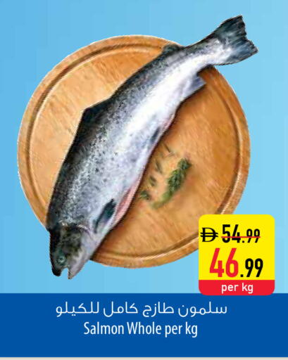 available at السفير ماركت in الإمارات العربية المتحدة , الامارات - أم القيوين‎