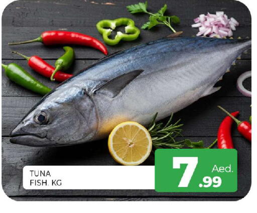 available at المدينة in الإمارات العربية المتحدة , الامارات - الشارقة / عجمان