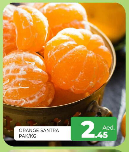 Orange available at المدينة in الإمارات العربية المتحدة , الامارات - الشارقة / عجمان