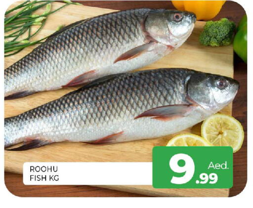 available at المدينة in الإمارات العربية المتحدة , الامارات - الشارقة / عجمان