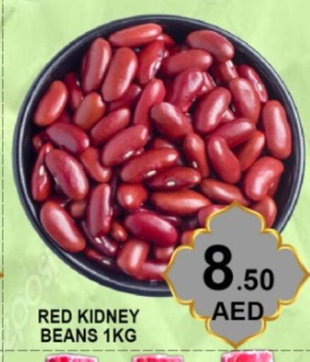 available at Green Gift Department Store in UAE - Dubai