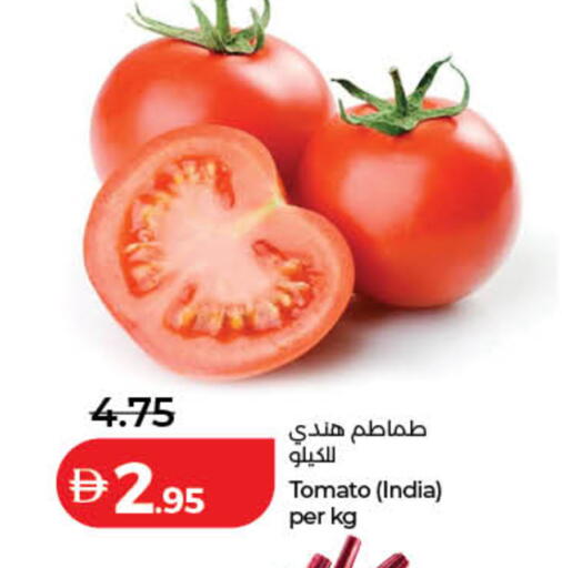 Tomato from India available at Lulu Hypermarket in UAE - Dubai