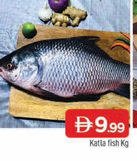 available at المدينة in الإمارات العربية المتحدة , الامارات - الشارقة / عجمان